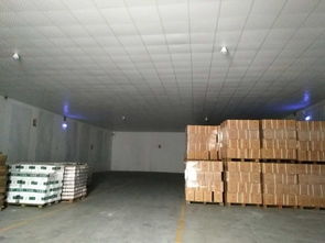 广州奶粉进口报关及粮油中转仓储全流程解析