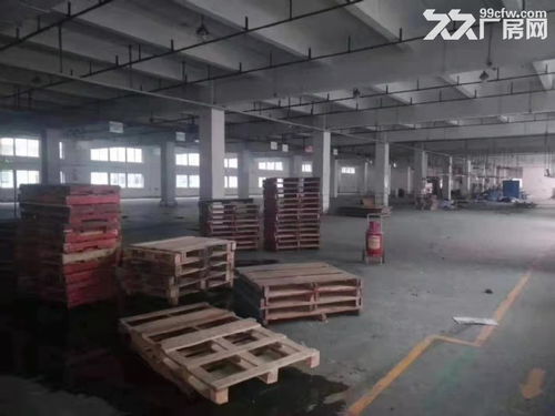 凤岗广源独院厂房 三万平米理想空间，赋能物流仓储与电商粮油中转