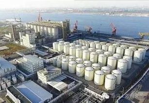 中粮集团在乌克兰打造现代化粮油枢纽，助推全球供应链稳定发展