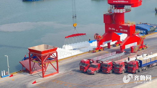 借力运河优势，齐鲁粮油媒体行聚焦江北现代粮食物流园——打造“北粮南运”高效大通道