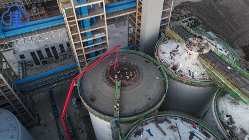 服务与建设并重 天津临港20万吨粮仓主体完工，夯实粮油中转仓储新基石